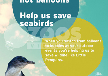 New balloon release laws a real sea change